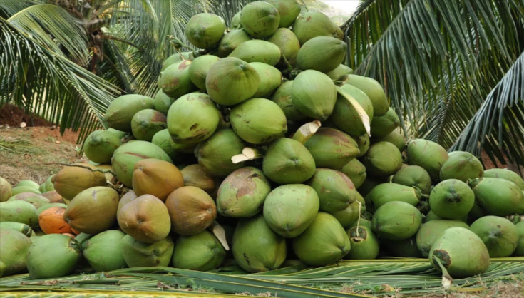 Consistent Monthly Profits from Farm Trading